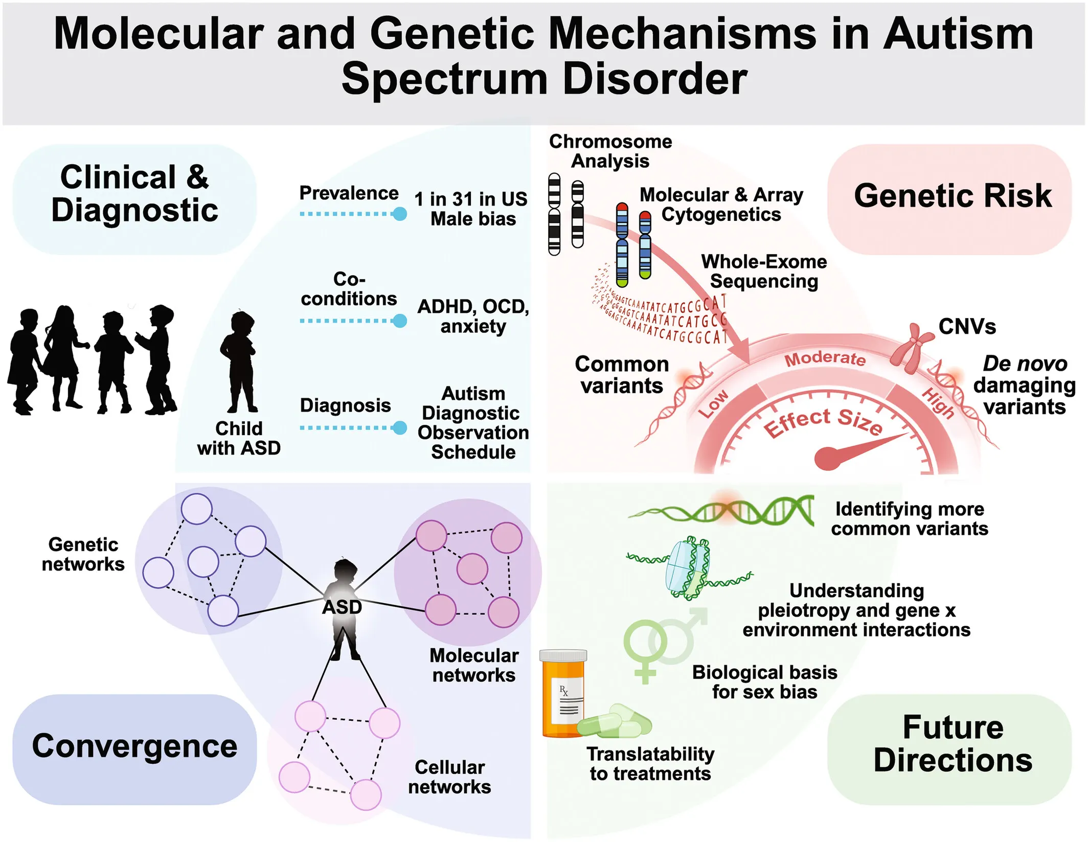 Is Autism Genetic? Causes, Family Risk and What Parents Should Know